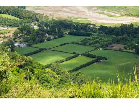 Terreno à Venda na Vila Cordeiro